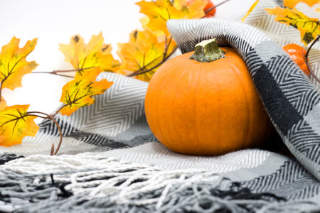 halloween pumpkin close-up with beautiful holiday background