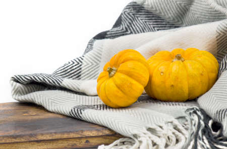 halloween pumpkin close-up with beautiful holiday backgroundの写真素材