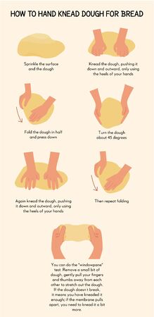 Infographic caption how to hand knead dough for bread. Process of sourdough baking. Illustration for cook book or homemade bake recipe. Vector illustration.のイラスト素材