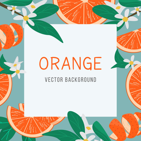 Orange fruit square background vector flat illustration. Exotic colorful summer frame with place for text. Bright Juicy citrus template with tropical tangerine and skin peel grapefruit and brunches.のイラスト素材