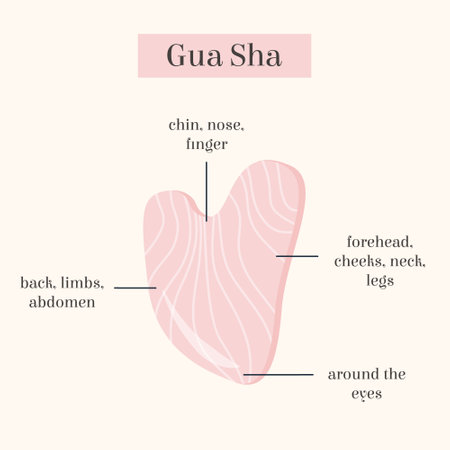 Infographic of Gua Sha Jade scraping massage tool usage. Natural pink rose quartz stone scraper. Chinese traditional facial lifting for woman. Facial acupoints. Vector flat illustration.のイラスト素材