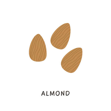 Whole almonds nuts without shell. Simple colored fruits icon. Delicious edible nut hand drawn in minimalistic flat style. Natural vector illustration.のイラスト素材