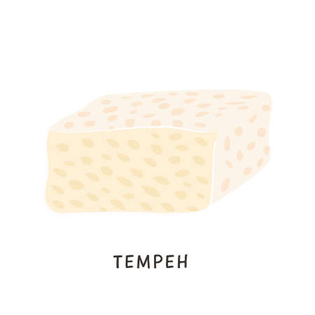 Sliced tempeh piece. Vegan organic fermented soybeans. Soy cheese isolated on white background. Flat vector cartoon illustration of dairy soya product. Traditional asian Indonesian meal for vegetarianのイラスト素材
