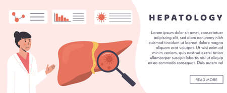 Web banner template. Gastroenterology or Hepatology Hospital. Liver Organ with magnifying glass Hepatic Bacteria. Hepatitis Cure. Researcher studying liver. Consulting doctor. Flat Vector Illustrationのイラスト素材