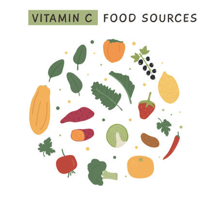 Set of Vitamin C foods for healthy diet. Circle composition with fruits and vegetables enriched with ascorbic acid. Dietetic food, organic nutrition composition. Vector illustration in flat style.のイラスト素材