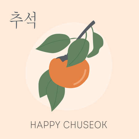 A persimmon tree brunch with fruit. Greeting card for thanksgiving day in Korea. Korean traditional harvesting holiday on full moon day. Happy Chuseok translation in english. Vector illustrationのイラスト素材