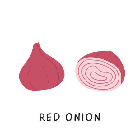 Flat style elements of cut and whole red onion. Fresh organic ripe raw vegetable or gathered crop isolated on white background. Simple colored hand drawn vector illustration.のイラスト素材