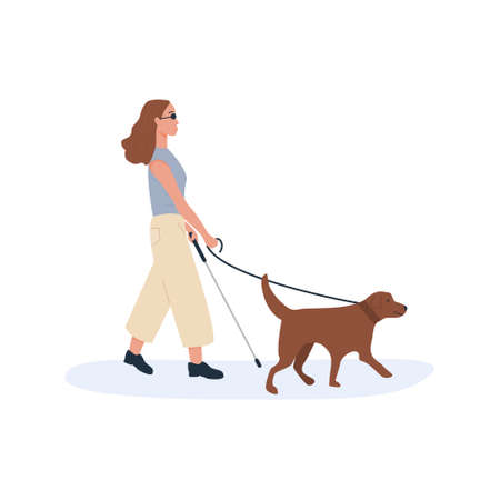 A guide dog with blind person walking together. Disabled female with cane stick using help of dog. Flat style characters. Vector illustration.のイラスト素材