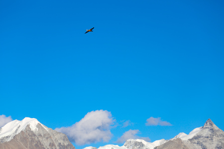 Landscape view of migratory birds at the snow capped mountainの写真素材