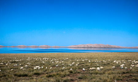 Grassland pastoral areaの写真素材