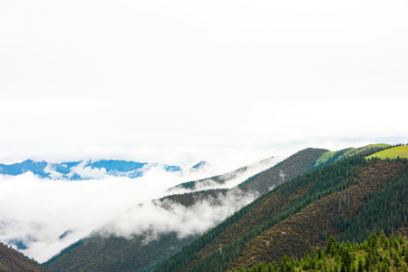 plateau canyon