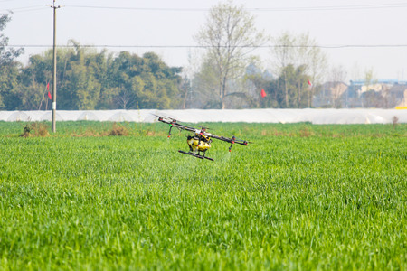 Drone spraying pesticide