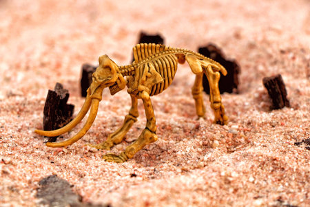 A child's toy. The dinosaur skeleton in the old tree.の写真素材