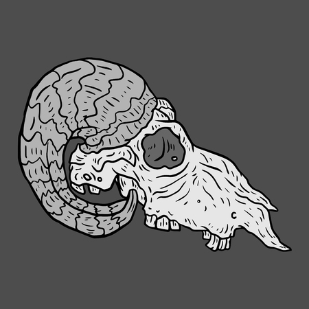 Isolated black and white vector Goat skullのイラスト素材