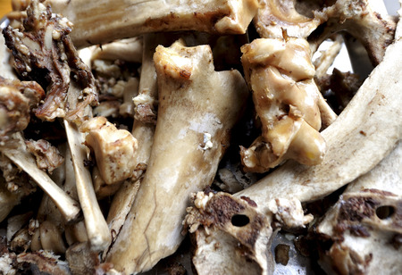 Beef bonesの写真素材