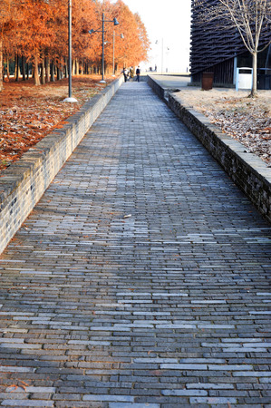 trail in the parkのeditorial素材