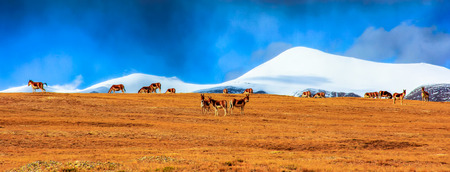 Sanshen mountainの写真素材