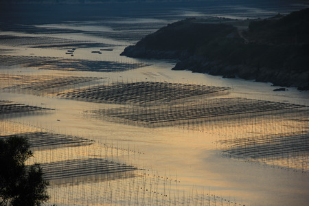 Reflectionsの写真素材