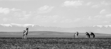 Tibet sceneryの写真素材