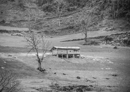 An isolated houseのeditorial素材