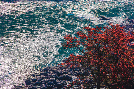 riverの写真素材