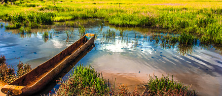 wetlandの写真素材
