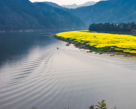 nature scenery