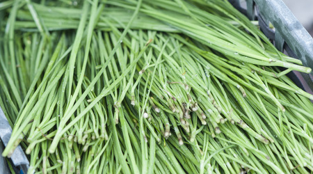 vegetablesの写真素材