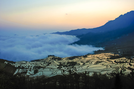 terracesの写真素材