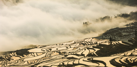 terracesの写真素材