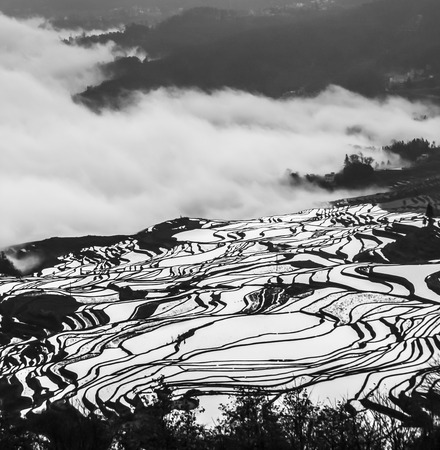 terracesの写真素材