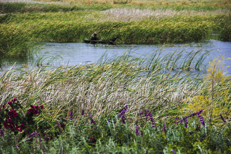 Wetlandの写真素材