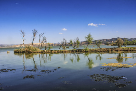 lake view under the blue skyの写真素材
