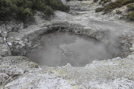 nature scenicの写真素材