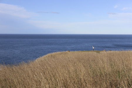 nature scenicのeditorial素材