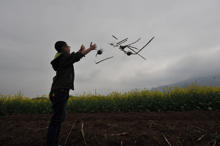 boy in the fieldのeditorial素材