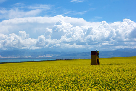 western China sceneryの写真素材