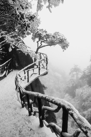 mount sanqing in winterの写真素材