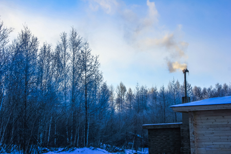 Winter forestのeditorial素材