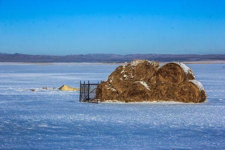 forage in the winter landscape viewの写真素材
