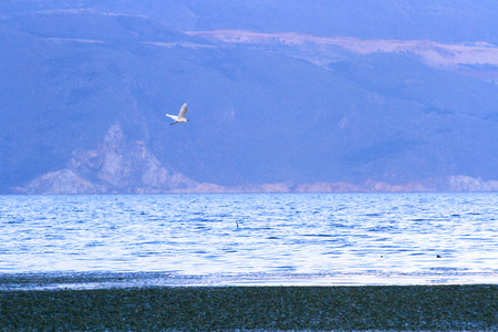 Yunnan Sceneryの写真素材