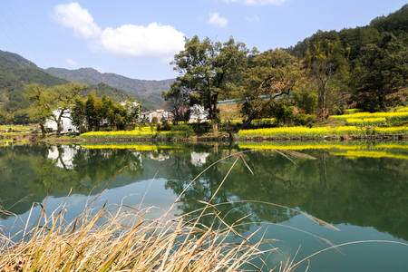 lake view at Wuyuan