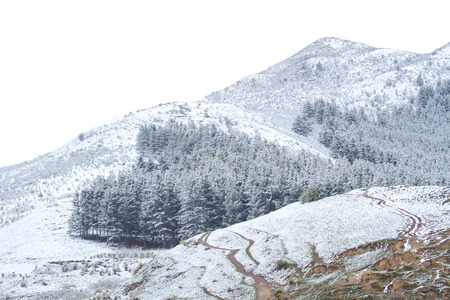 tibetan Plateau sceneryの写真素材