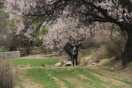 Linzhi sceneryのeditorial素材