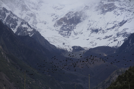 The snow capped mountainsの写真素材