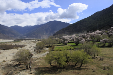 Nature landscape scenery view of Linzhiの写真素材
