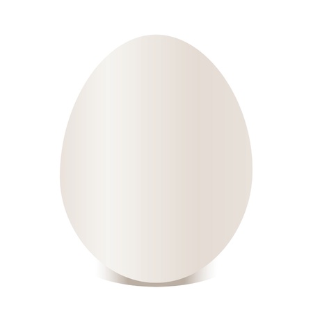 White egg. Vector Illustration のイラスト素材