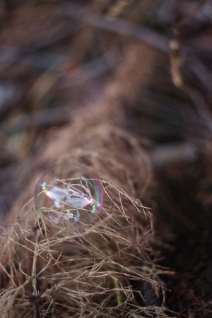 Bubbleの写真素材