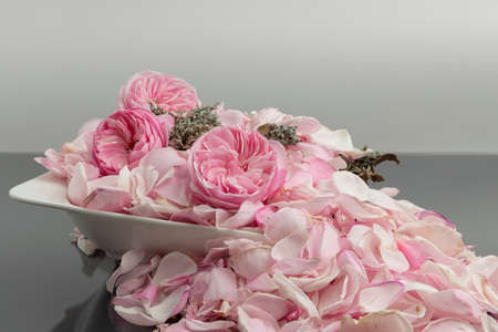 Petals and flowers of pink roses in a bowl on a uniform background in a romantic spirit suitable as a wish for a significant day, or the promotion of trade.の写真素材