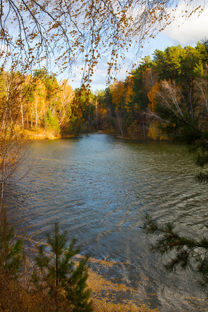 Autumn forest on the bank of the riverの写真素材